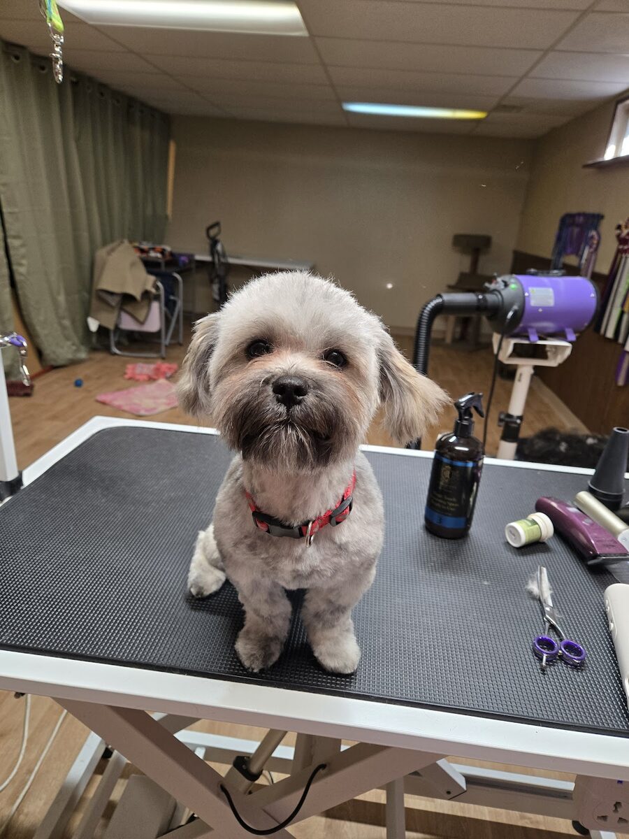 Full Groom